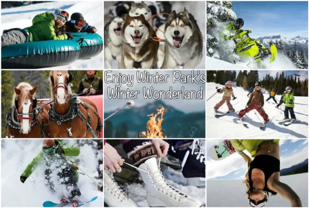An energetic collage featuring families and children participating in a variety of winter activities: snow tubing, dog sledding with huskies, snowmobiling, children skiing, ice skating, a horse-drawn carriage ride, and a cozy campfire scene. The image is vibrant and bustling, perfectly capturing the spirit of family adventure and diverse winter fun.